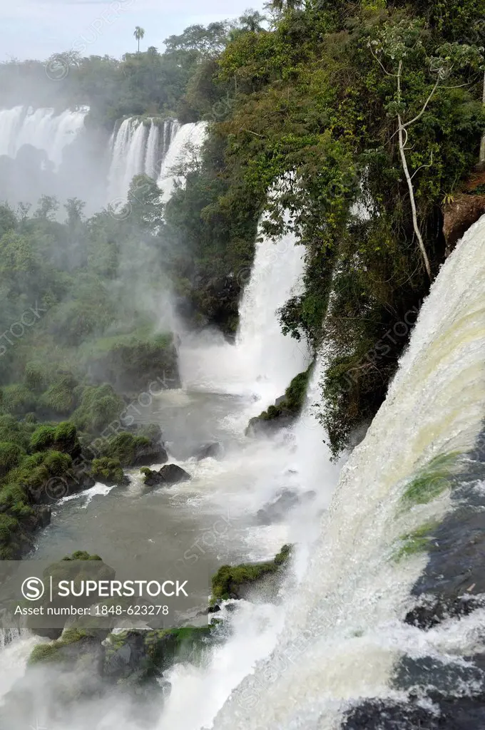 Iguazu or Iguacu Falls, UNESCO World Heritage Site, at the border of Brazil and Argentina, landscape of the Argentine side, South America