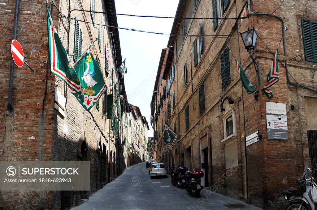 Houses decorated with flags, Contrada district, Siena, Tuscany, Italy, Europe