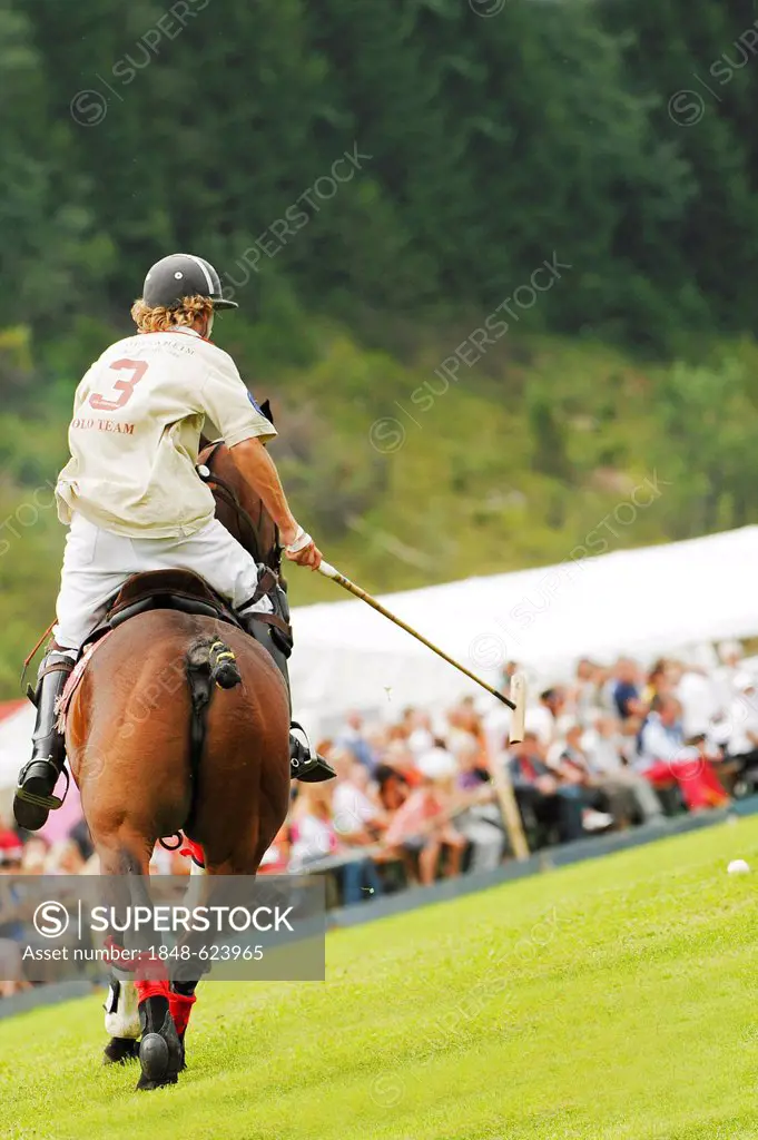 A polo player is galloping to the ball, Wolfgangsee region, Salzburg, Austria, Europe