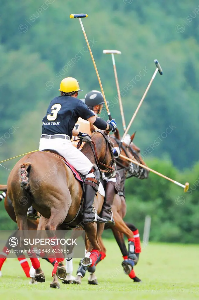 Polo players fighting for the ball, Wolfgangsee region, Salzburg, Austria, Europe