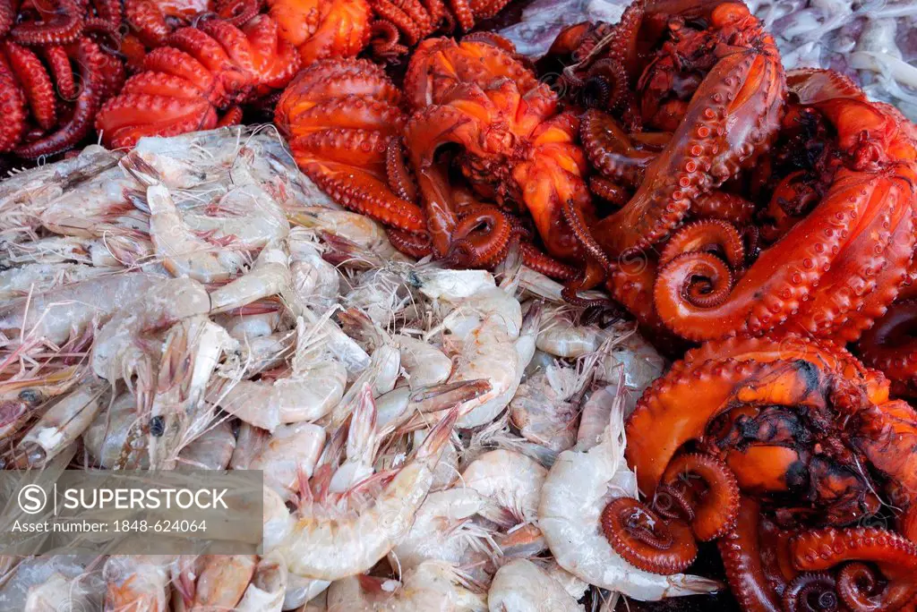 Squid and shrimps, fish market, Dar es Salaam, Tanzania, Africa