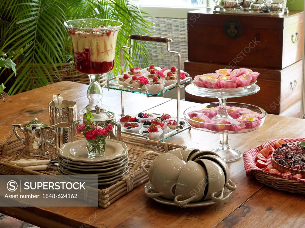Stylish decorated coffee table in a romantic setting with fruit pudding, trifle, and petit fours