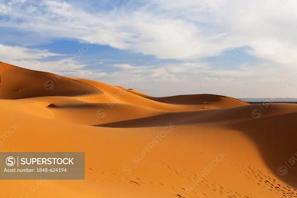 Sand dunes of Erg Chebbi, Erfoud, Meknès-Tafilalet, Morocco, Sahara, Maghreb, North Africa, Africa