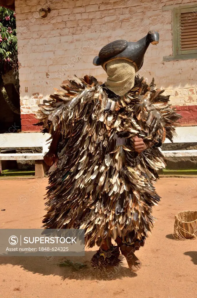 Traditional dance in the Palace of Bafut, one of the traditional kingdoms of Cameroon, near Bamenda, North West Cameroon, Central Africa, Africa