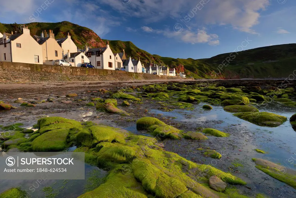 Algae-covered rocks at low tide in front of fishermen's houses in Gardenstown, Banffshire, Scotland, United Kingdom, Europe
