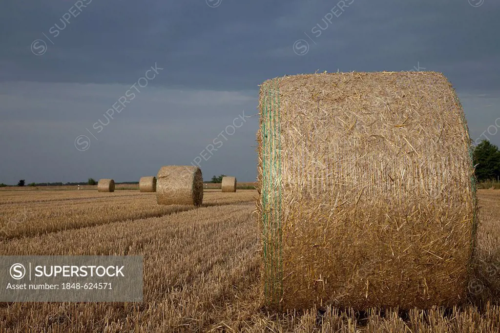 Straw bales on a field