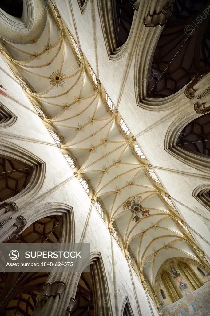 Vaulted ceilings, ceiling view, church, nave, interior view, Ulmer Muenster, Ulm Minster, Ulm, Baden-Wuerttemberg, Germany, Europe