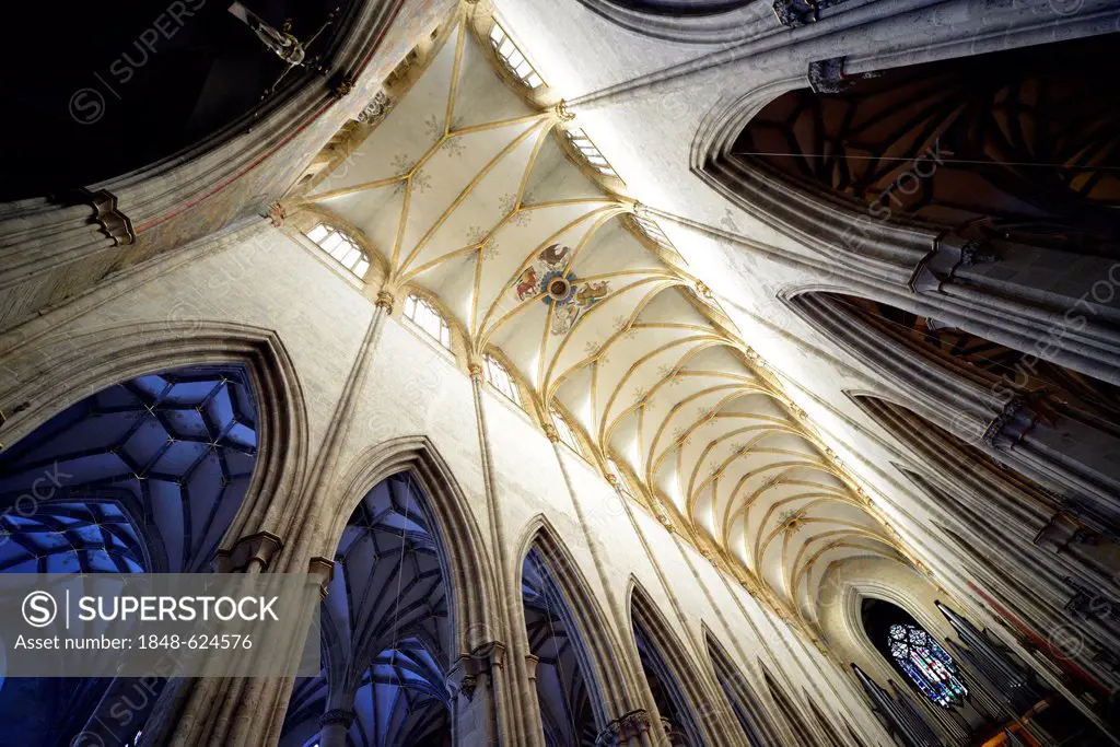 Contrast, vaulted ceilings, ceiling view, church, nave, interior view, network of ribs, Ulmer Muenster, Ulm Minster, Ulm, Baden-Wuerttemberg, Germany,...