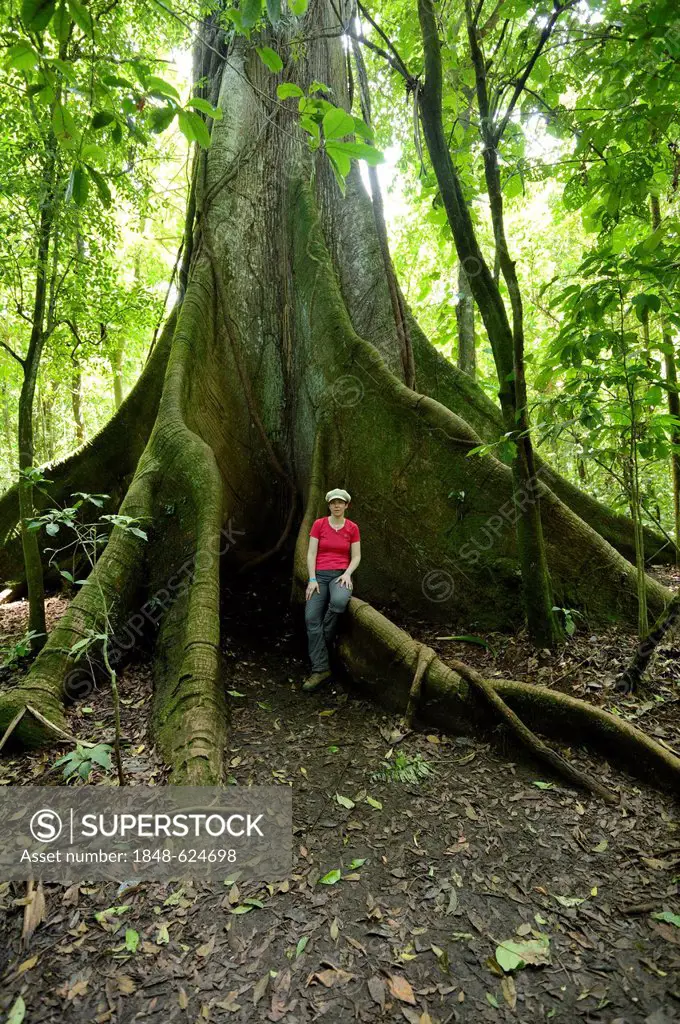 Woman standing in front of a Kapok Tree (Ceiba pentandra), in the tropical rain forest, Rincón de la Vieja National Park, Guanacaste, Costa Rica, Sout...