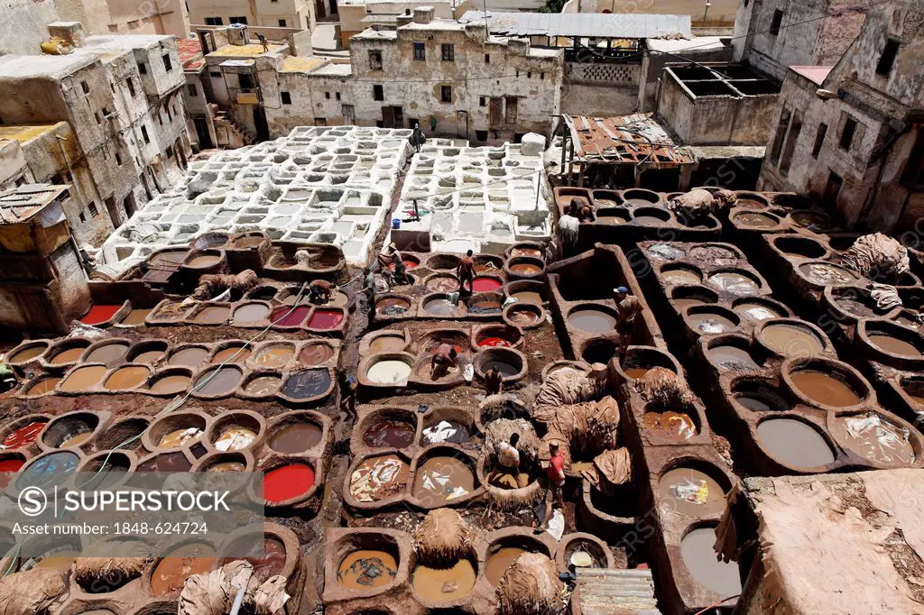 Traditional tanneries and dye works in Fès, Fez, Fès-Boulemane, Morocco, North Africa, Maghreb, Africa