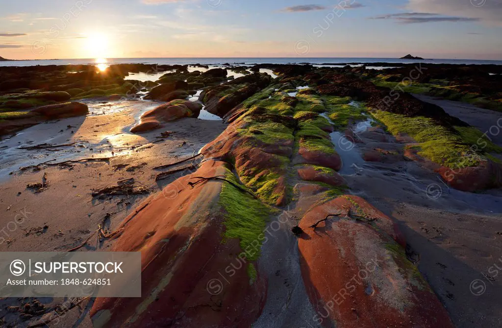 Low sun, summer solstice, algae-covered rocks in the sea at low tide, cliffs at Gardenstown, Banffshire, Scotland, United Kingdom, Europe