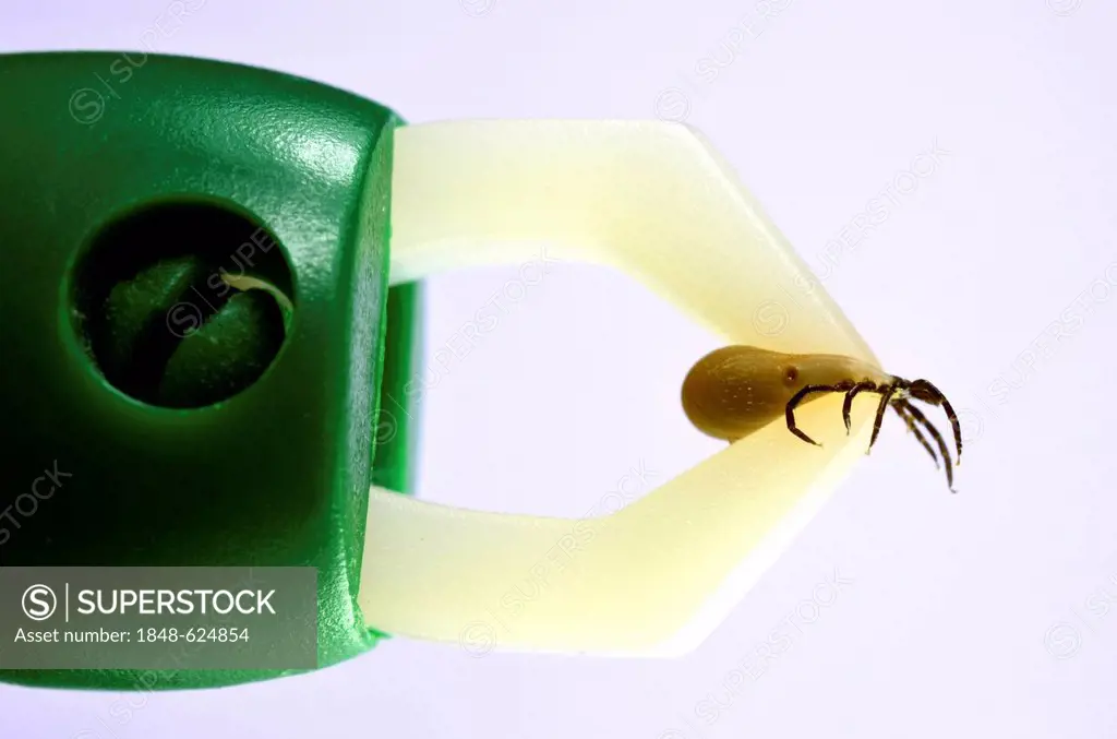 Tick remover with tick