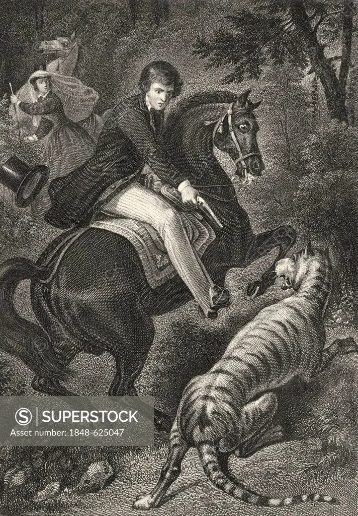 Historic steel engraving by Johann Baptist Wilhelm Adolf Sonderland, 1805 - 1878, a German illustrator, the squire Honorio shooting a tiger with a pis...