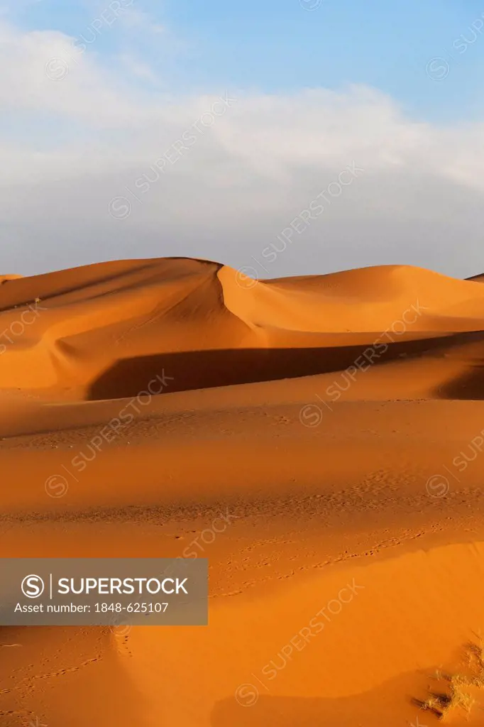 Sand dunes of Erg Chebbi, Erfoud, Meknès-Tafilalet, Morocco, Sahara, Maghreb, North Africa, Africa