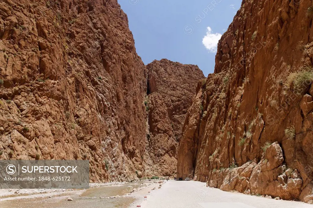 Cliffs of the Todra Gorge, Gorges du Todra, Tinerhir, Souss-Massa-Dra, Morocco, Maghreb, North Africa, Africa