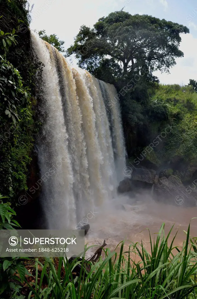 Metché Waterfall, Cameroon, Central Africa, Africa