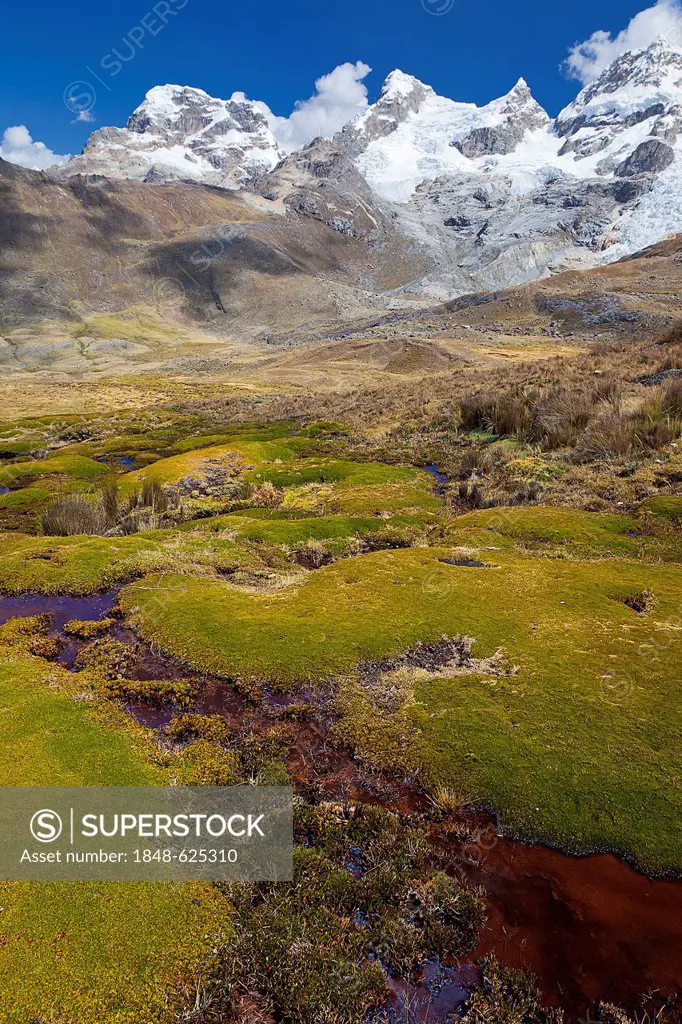 Mossy landscape, Cordillera Huayhuash mountain range, Andes, Peru, South America
