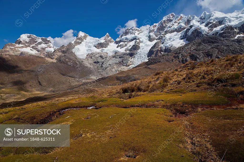 Moss landscape, Cordillera Huayhuash, mountain range, Andes, Peru, South America