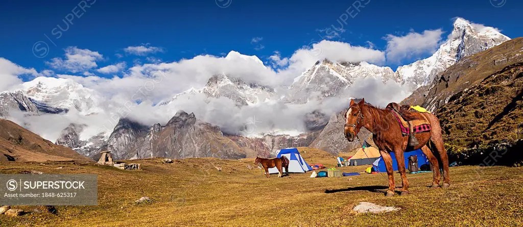 Camp with horse (Equus), Cordillera Huayhuash mountain range, Andes, Peru, South America