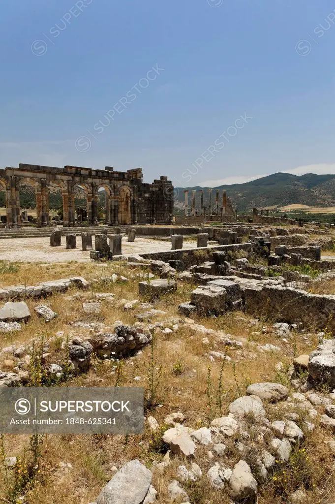 The Forum at the Roman archaeological site of Volubilis, UNESCO World Heritage Site, Meknes, Meknès-Tafilalet, Morocco, Maghreb, North Africa, Africa