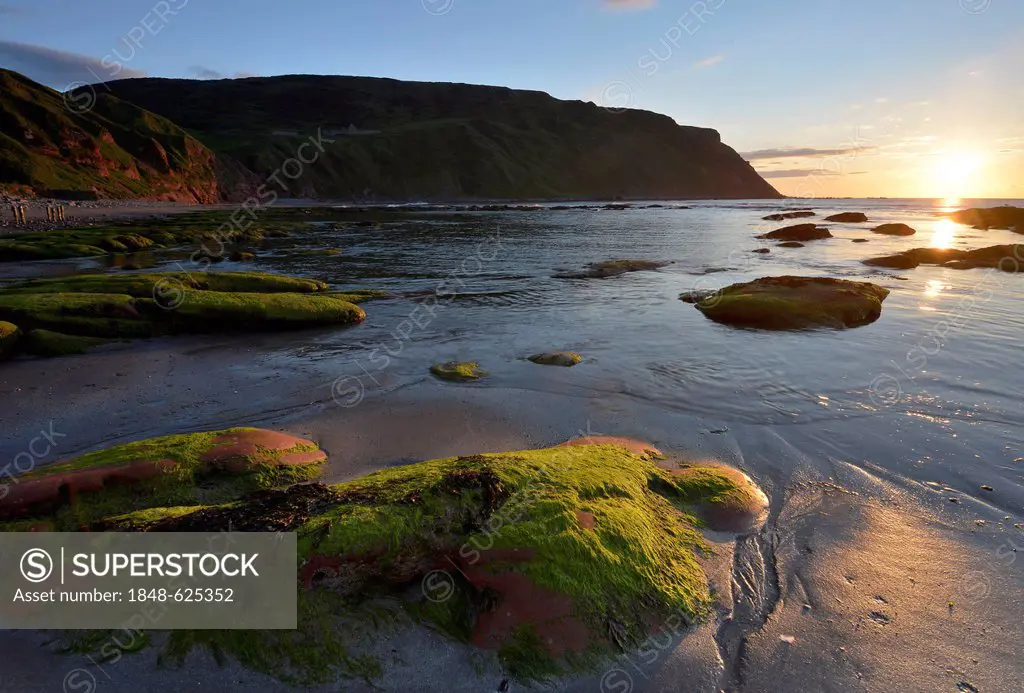 Low sun, summer solstice, algae-covered rocks in the sea at low tide, cliffs at Gardenstown, Banffshire, Scotland, United Kingdom, Europe