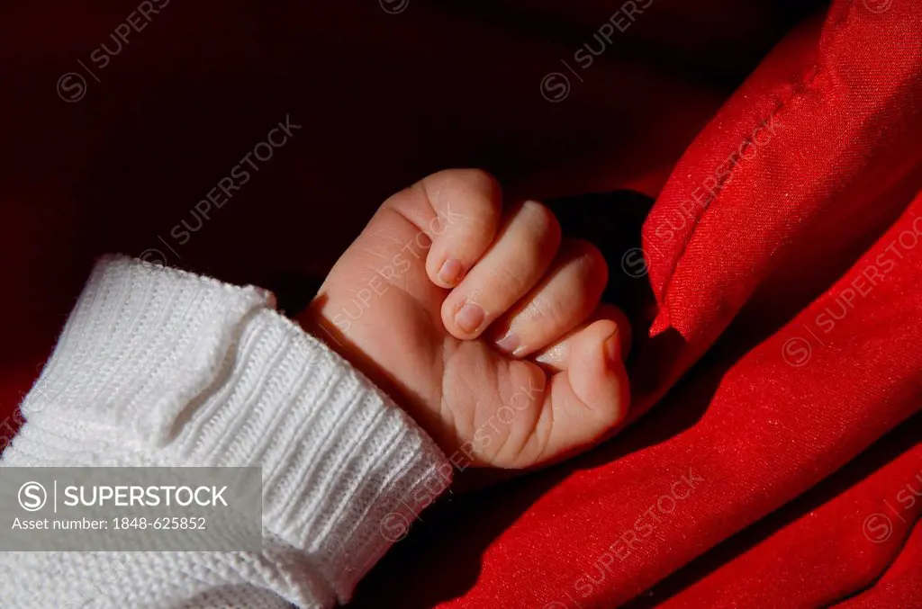 Hand of a four weeks old baby, Germany