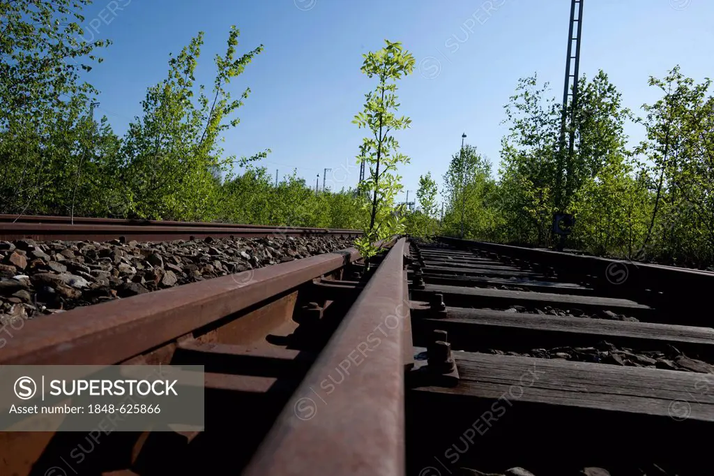 Disused railway tracks