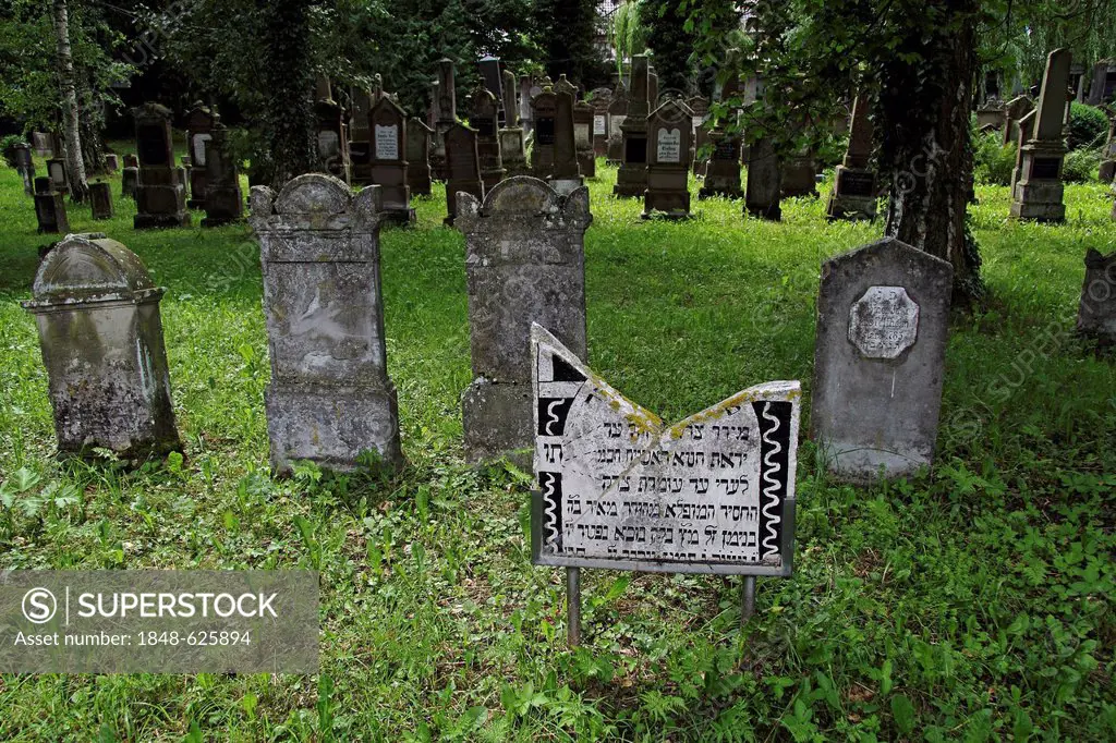 Jewish cemetery, grave stones, Bad Buchau, Upper Swabia, Baden-Wuerttemberg, Germany, Europe