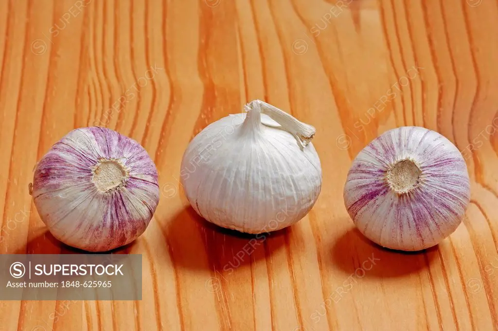 Garlic (Allium sativum), bulbs