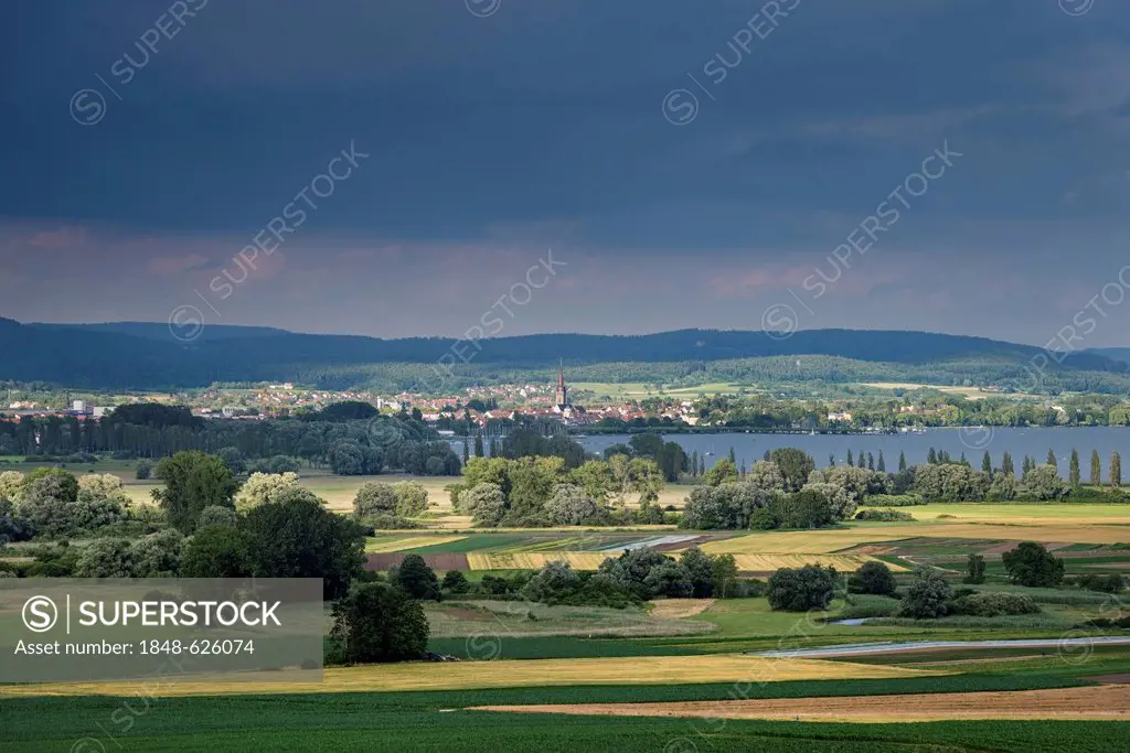 The Radolfzeller Aachried area in the evening light, behind Lake Constance with Radolfzell city, Baden-Wuerttemberg, Germany, Europe