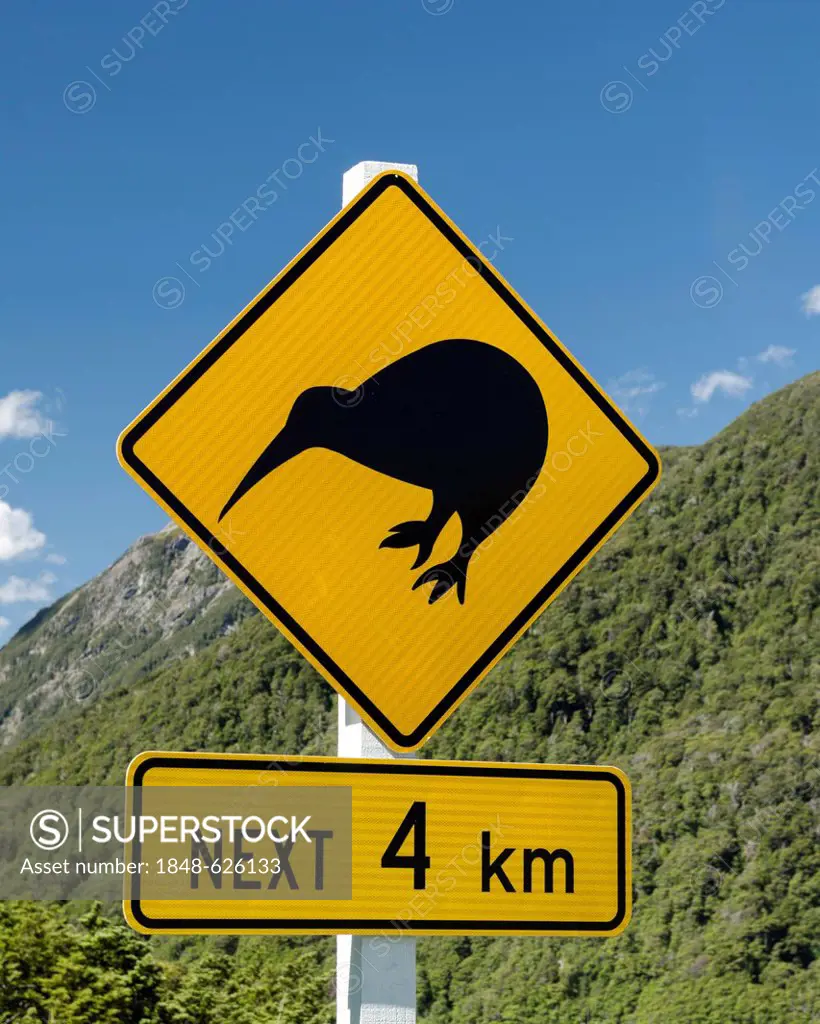 Warning sign, Kiwis next 4 km, Porters Pass, Craigieburn Range, Canterbury, South Island, New Zealand, Oceania