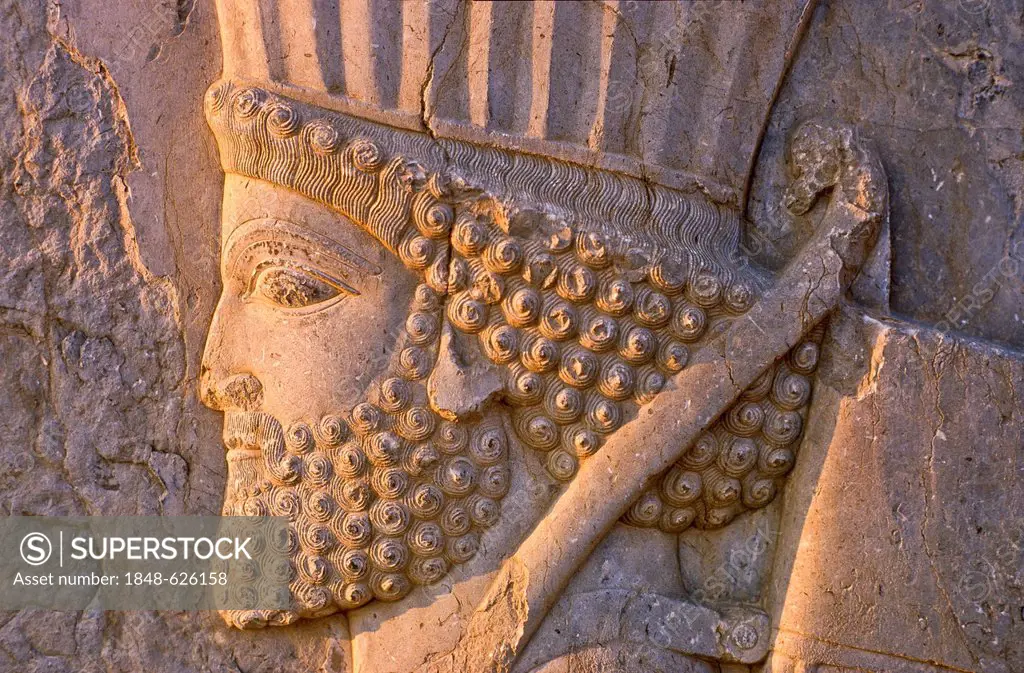 Stone relief, detail at Persepolis, the former capital of Persia, Iran, Western Asia