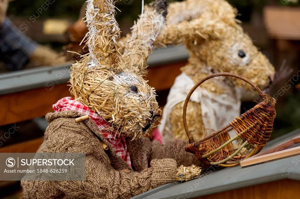 Life-size straw dolls, Easter bunnies as pupils in a bunny school at Easter time, Niederneuching-Ottenhofen, Upper Bavaria, Bavaria, Germany, Europe
