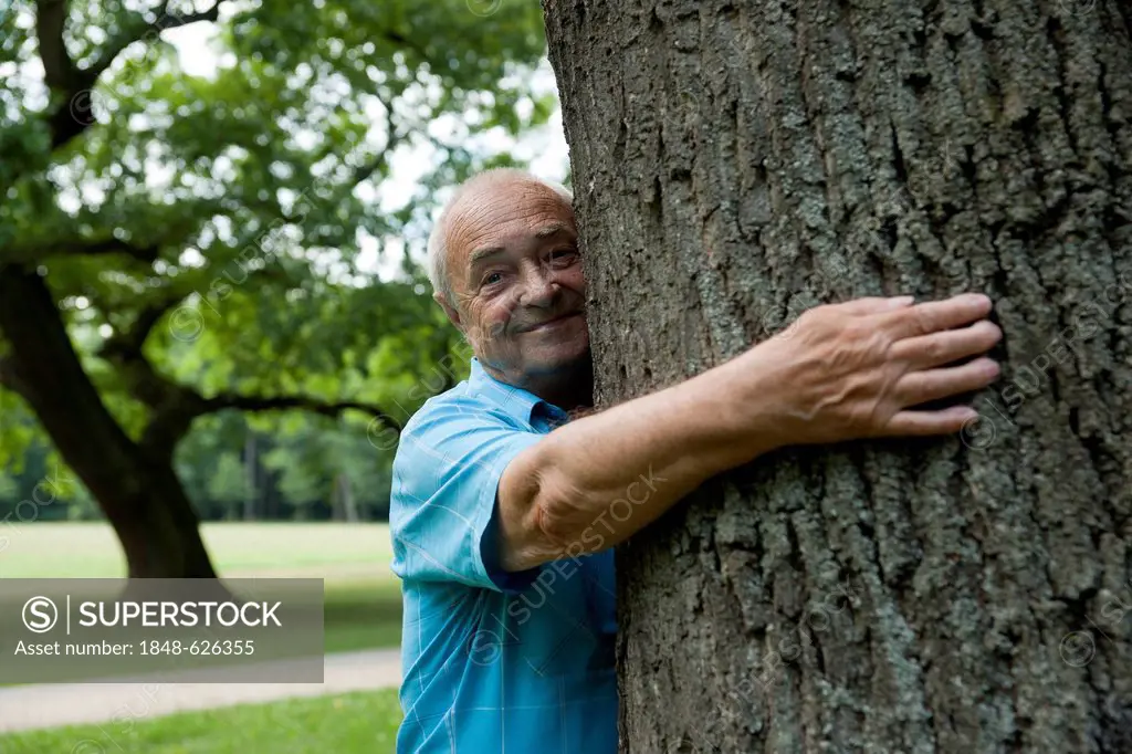 Elderly man hugging a tree, in a good mood