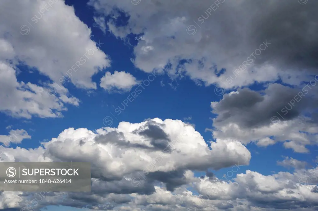 Rain clouds against a blue sky, Igensdorf, Upper Franconia, Bavaria, Germany, Europe