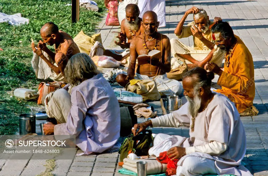 Group of Sadhus applying their tilaks as part of the morning pooja, Haridwar, India, Asia
