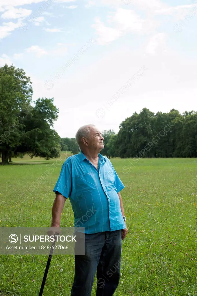 Elderly man with a walking cane standing in a meadow