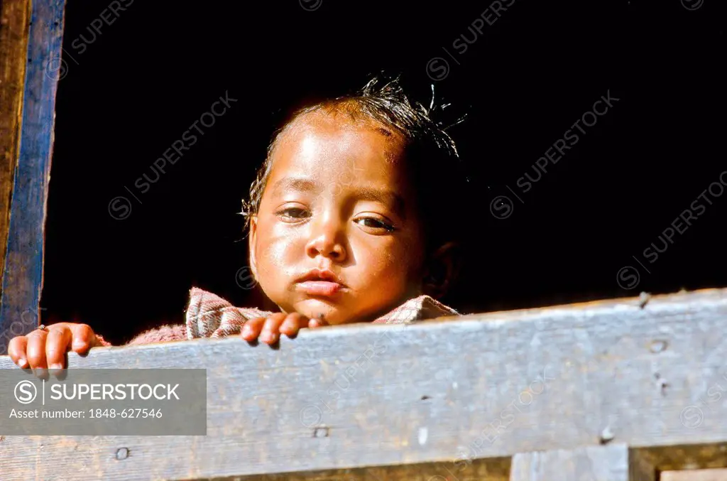 Little boy curiously looking out of a window in the small village of Gangi, India, Asia