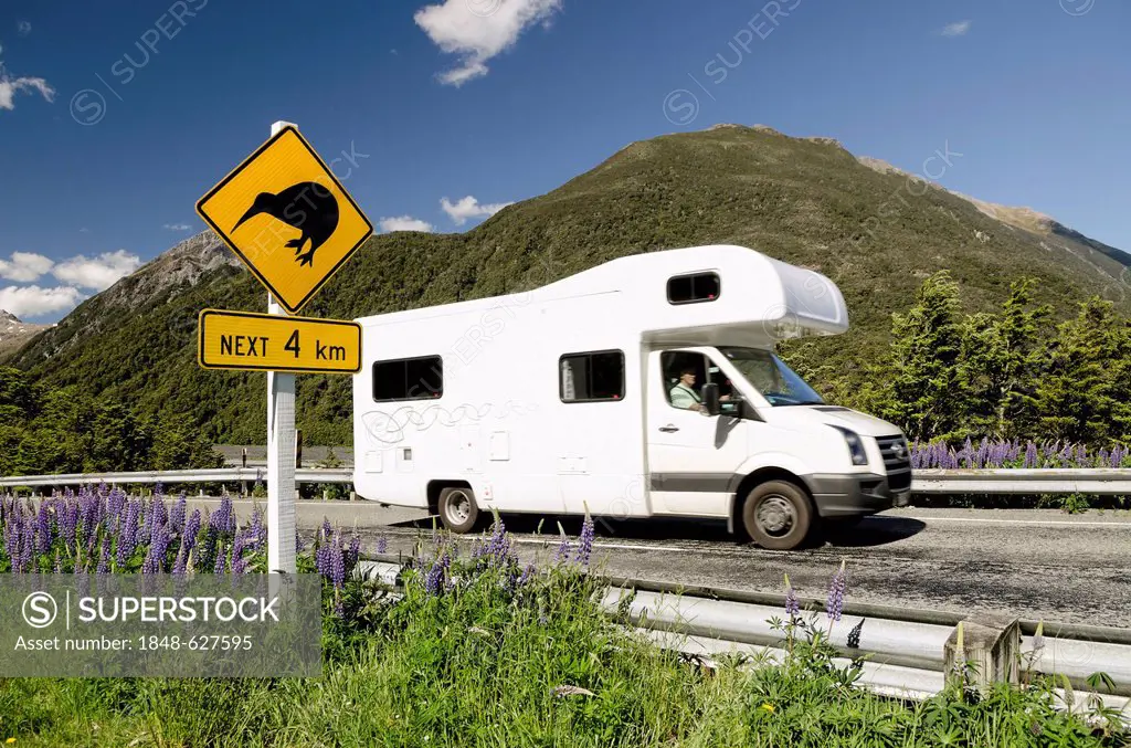 Campervan driving past a warning sign on a highway, Kiwis next 4 km, Porters Pass, Craigieburn Range, Canterbury, South Island, New Zealand, Oceania