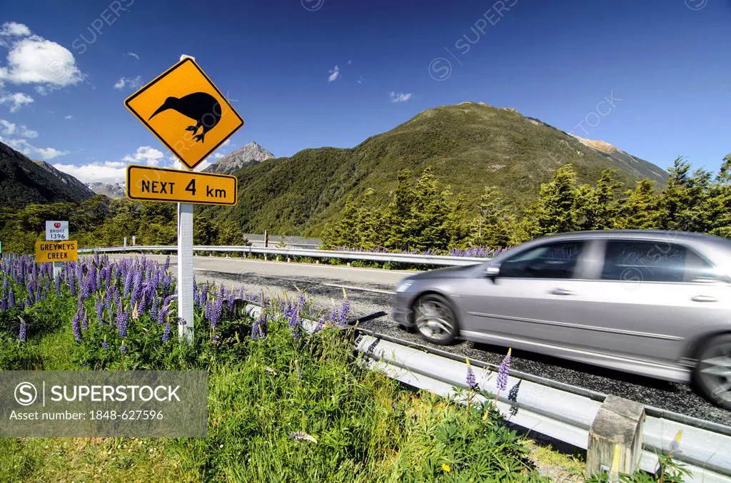 Silver car driving past a warning sign on a highway, Kiwis next 4 km, Porters Pass, Craigieburn Range, Canterbury, South Island, New Zealand, Oceania