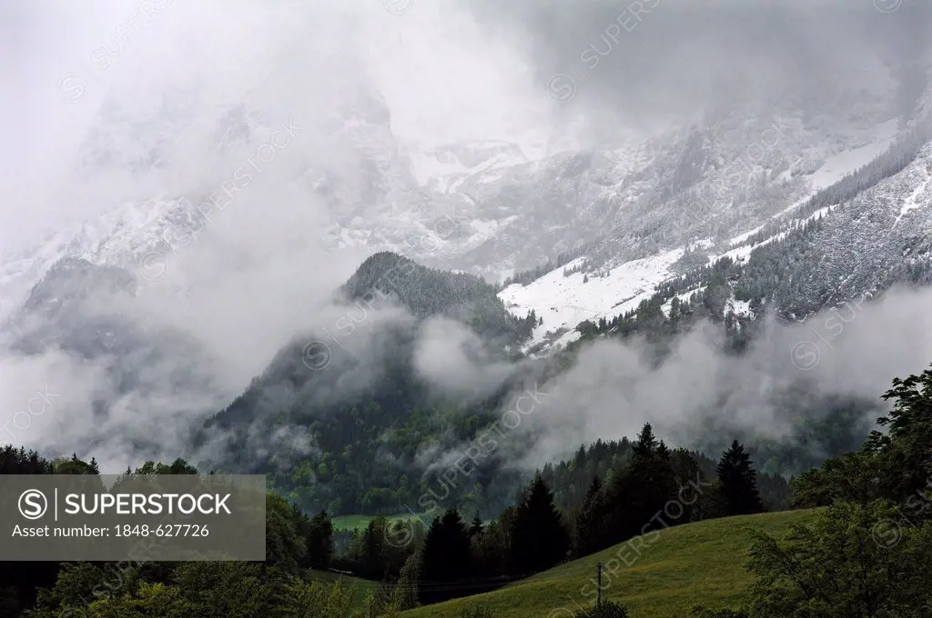 Fresh snow on shrouded Mt Reiteralpe on a cloudy morning, Ramsau, Berchtesgadener Land region, Upper Bavaria, Germany, Europe