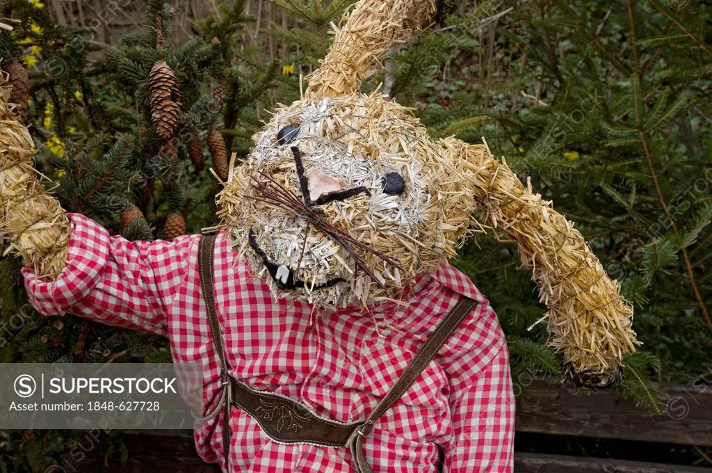 Life-size straw doll, Easter bunny in lederhosen, leather trousers, Niederneuching-Ottenhofen, Upper Bavaria, Bavaria, Germany, Europe