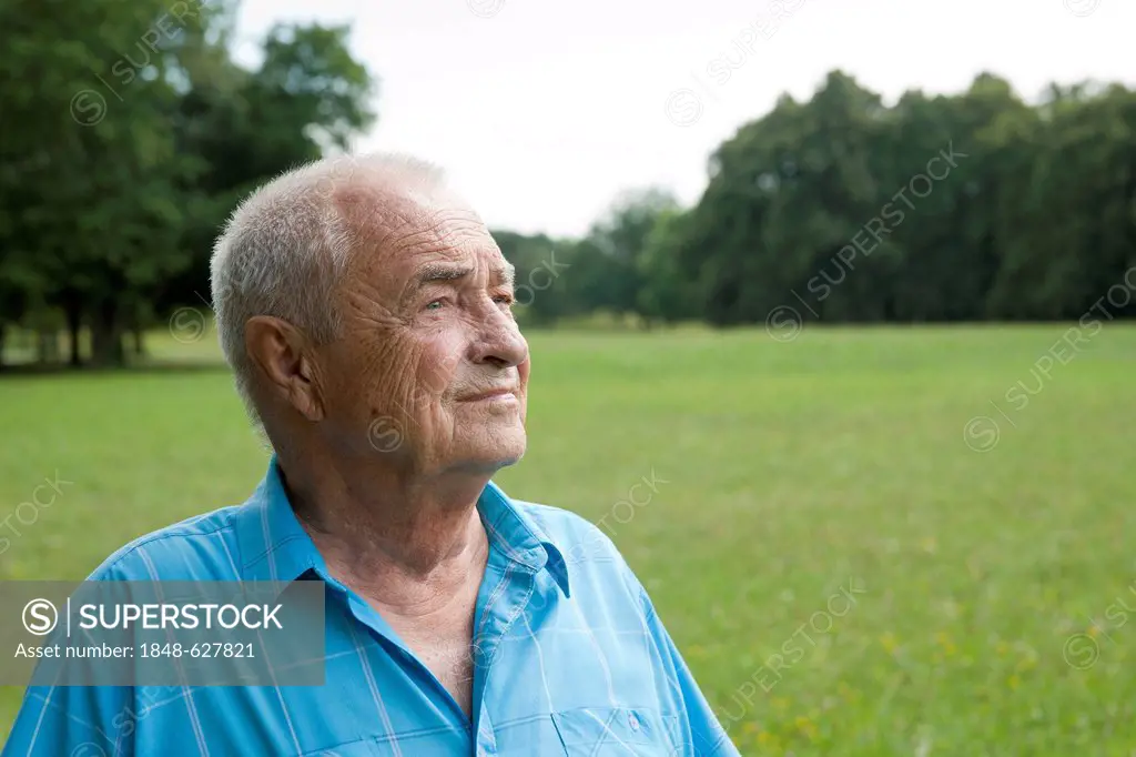 Elderly man in a park, portrait