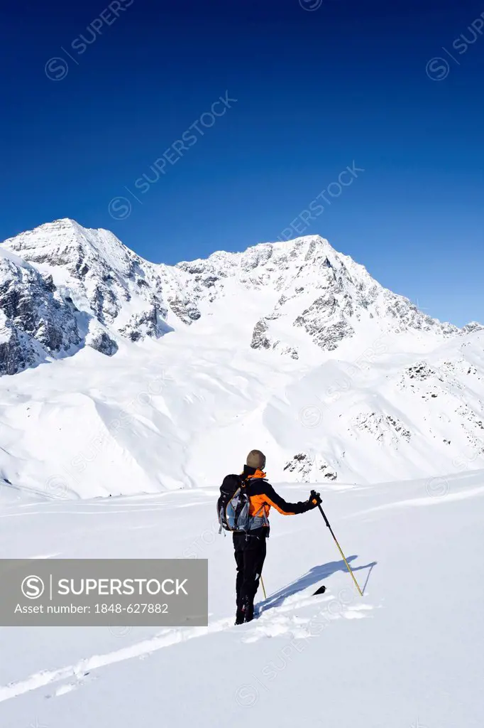 Backcountry skier during the ascent to the peak of Hintere Schoentaufspitze mountain, Sulden, Ortler mountain and Zebru mountain at the back, province...