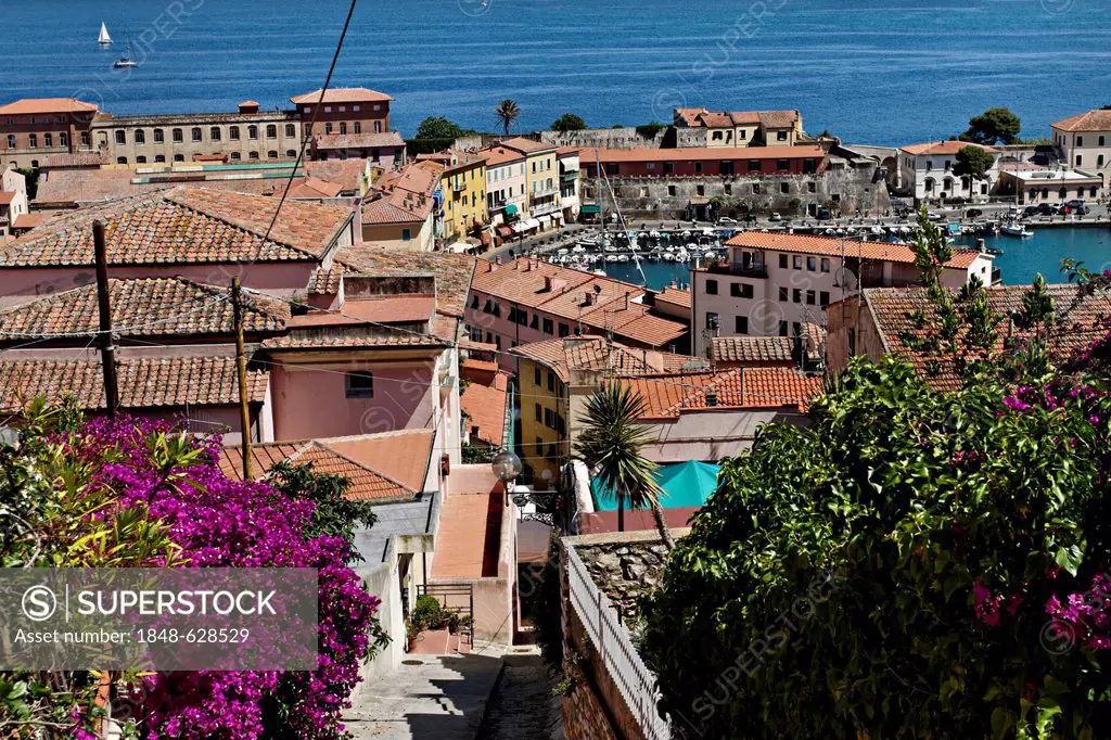 Roof top view over harbour city of Portoferraio, Elba, Tuscany, Italy, Europe