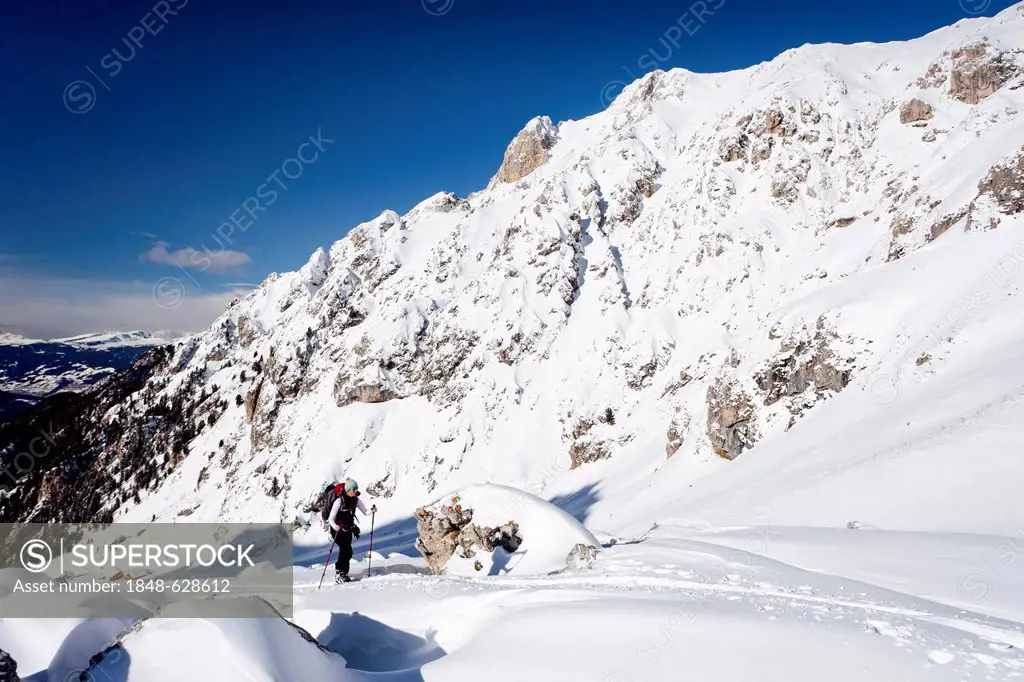 Backcountry skier during the ascent to the peak of Zendleser Kofel mountain in the Villnoesstal valley above Zanser Alm alp, here above the Woerndle-L...
