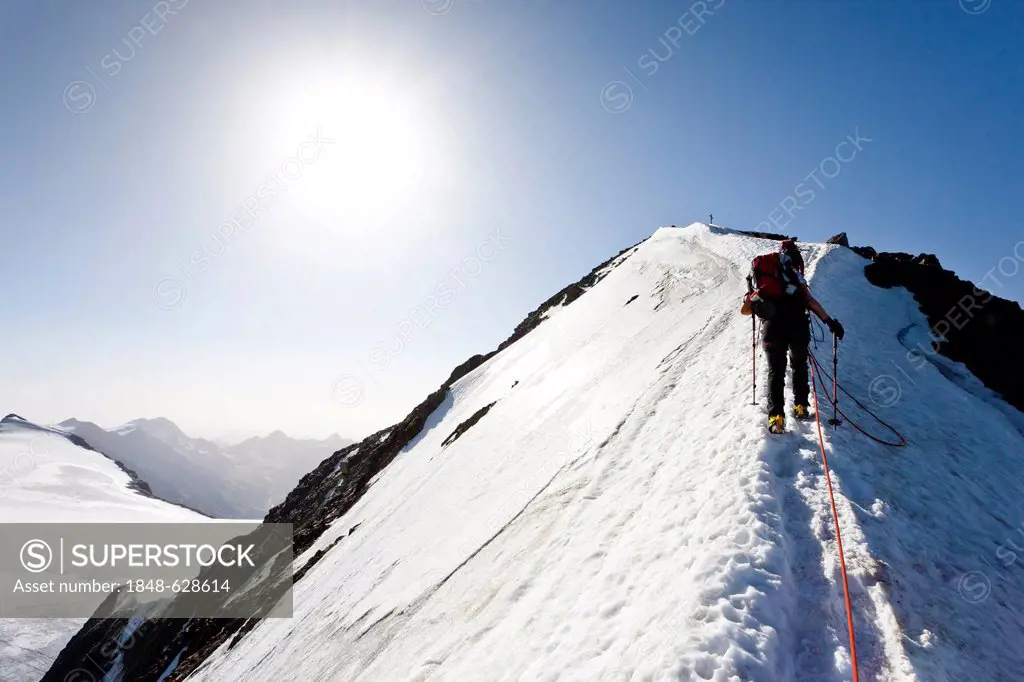 Hikers during the ascent to the peak of Similaun mountain, on Niederjochferner glacier in the Schnalstal valley above the Fernagt reservoir, here on t...