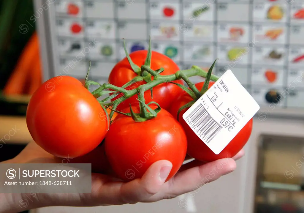 Self-service scales, customer weighing tomatoes, food hall, supermarket, Germany, Europe