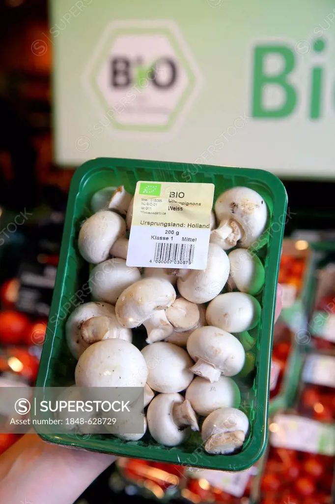 Pack of organic mushrooms, food hall, supermarket, Germany, Europe