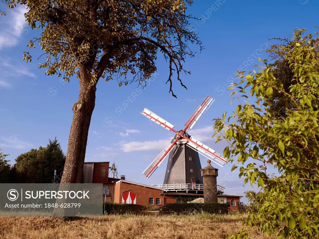Working windmill, Bardowick, Lueneburg Heath, Lower Saxony, Germany, Europe